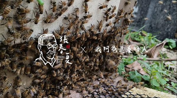 龍眼相關物產專區