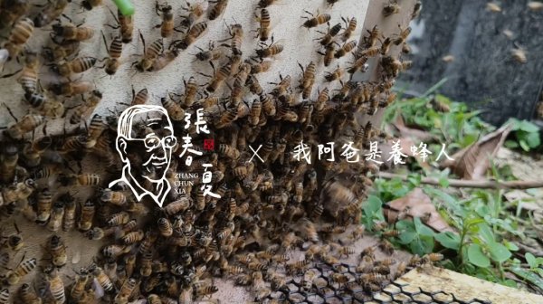 龍眼相關物產專區